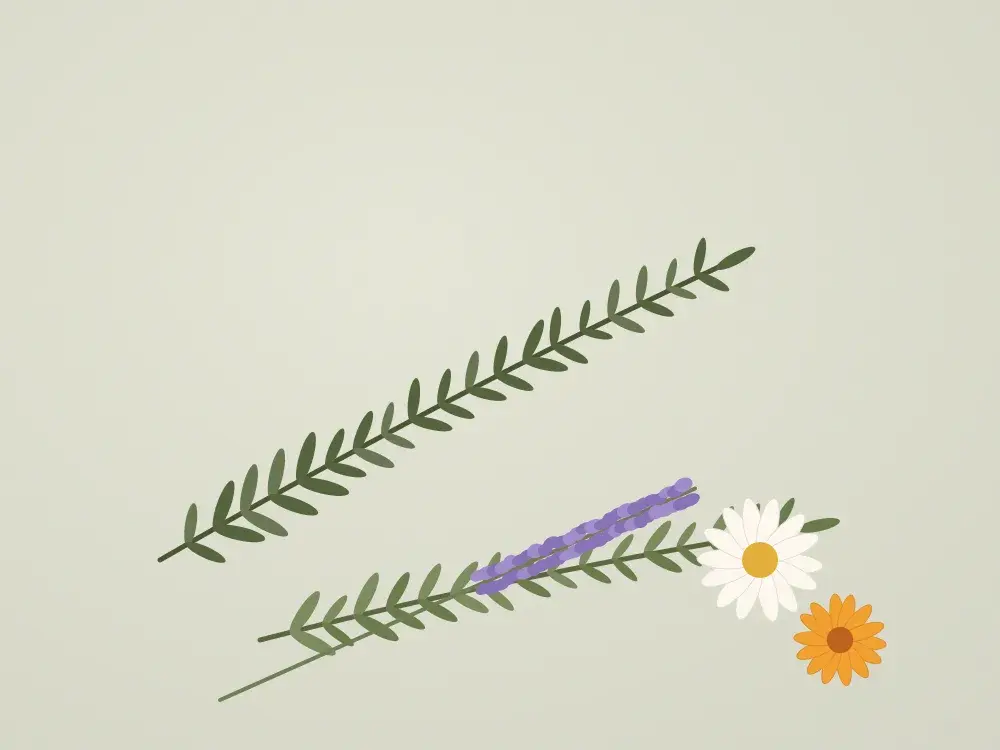Ramas de romero, lavanda y flores de manzanilla y caléndula